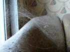 photo4_small.jpg