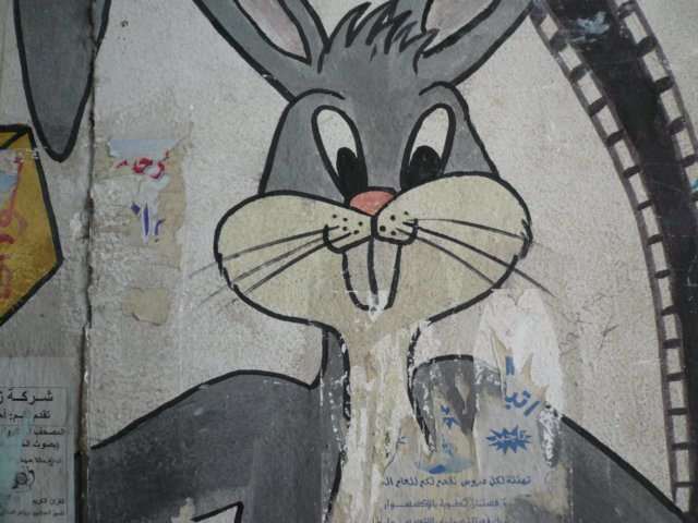 photo7.jpg