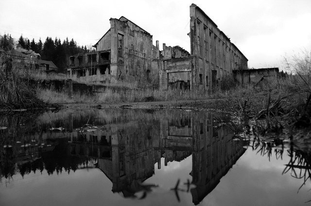 photo7.jpg