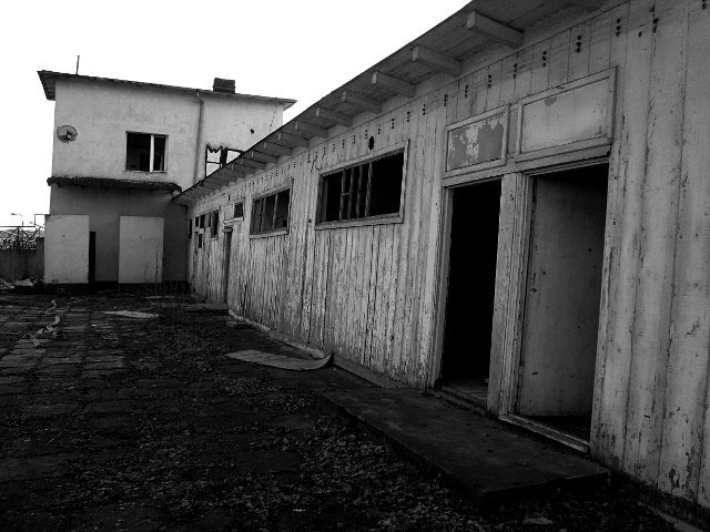 photo10.jpg