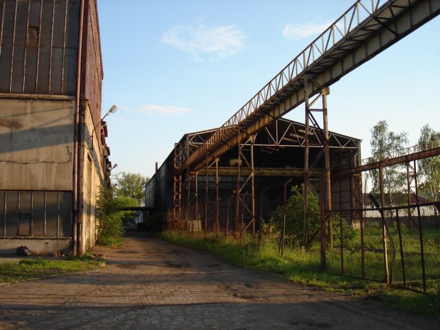 photo.jpg