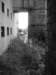 photo25_small.jpg
