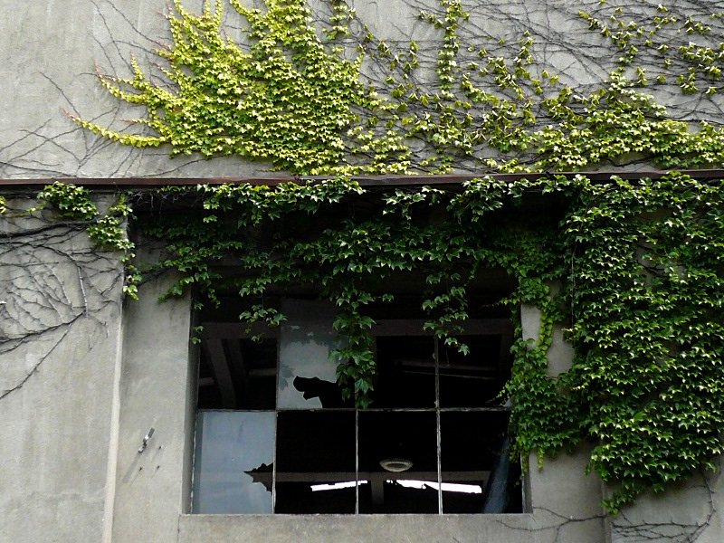 photo10.jpg