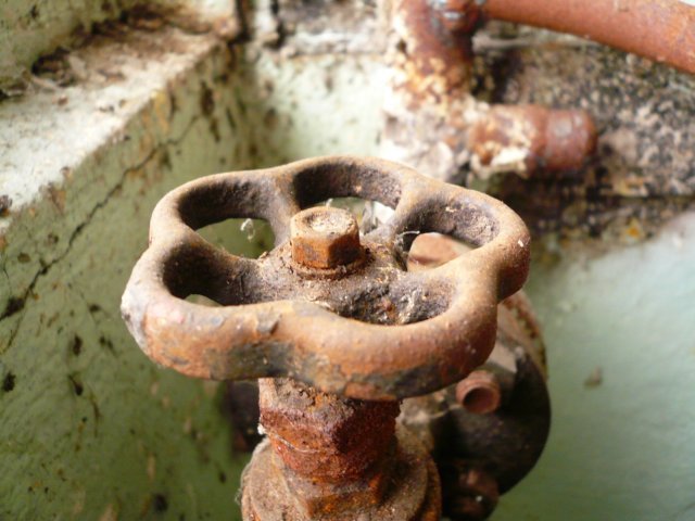 photo4.jpg