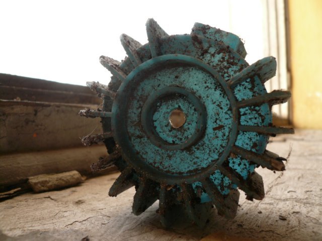 photo6.jpg