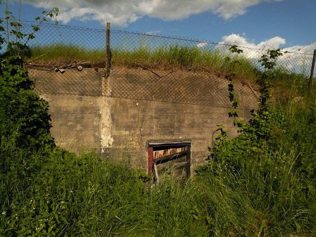 photo13.jpg