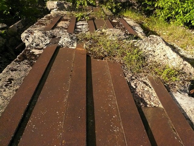 photo14.jpg