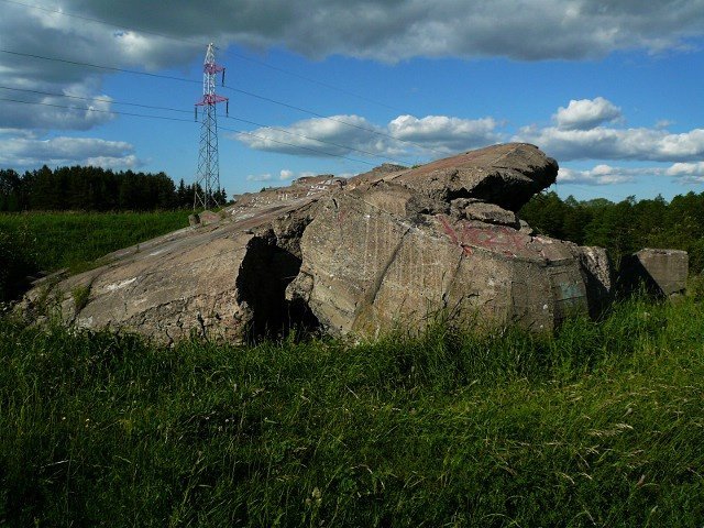 photo5.jpg