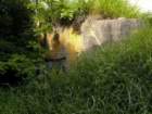 photo7_small.jpg