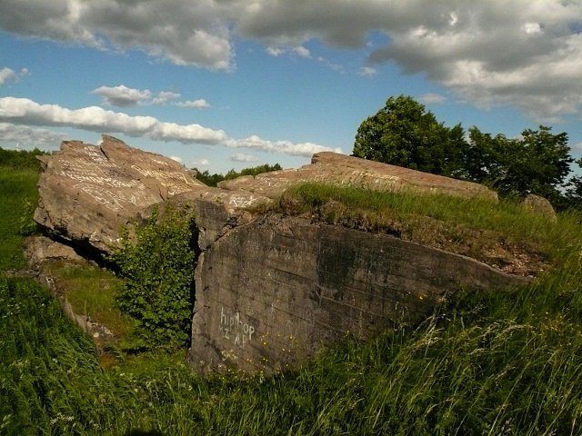 photo9.jpg
