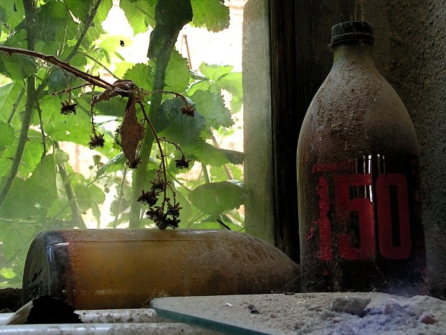 photo15.jpg