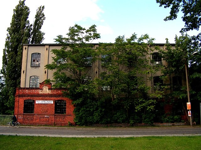 photo.jpg
