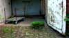 photo14_small.jpg