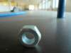 photo16_small.jpg