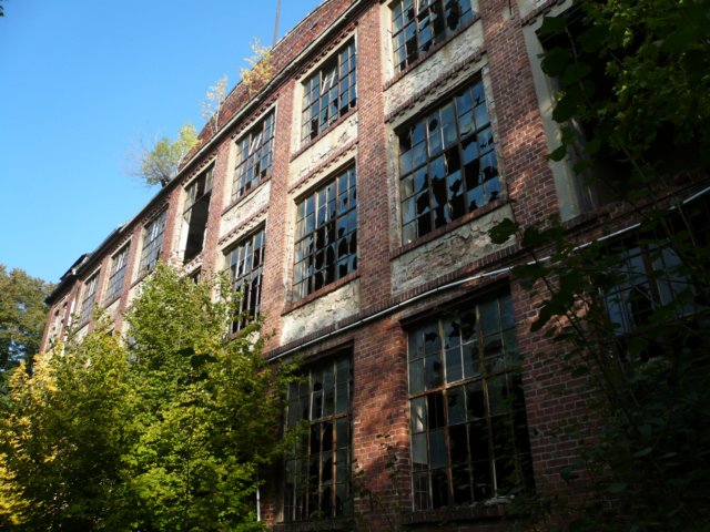 photo.jpg