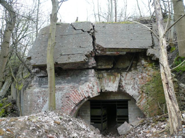 photo31.jpg