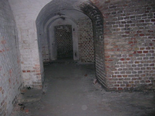 photo15.jpg