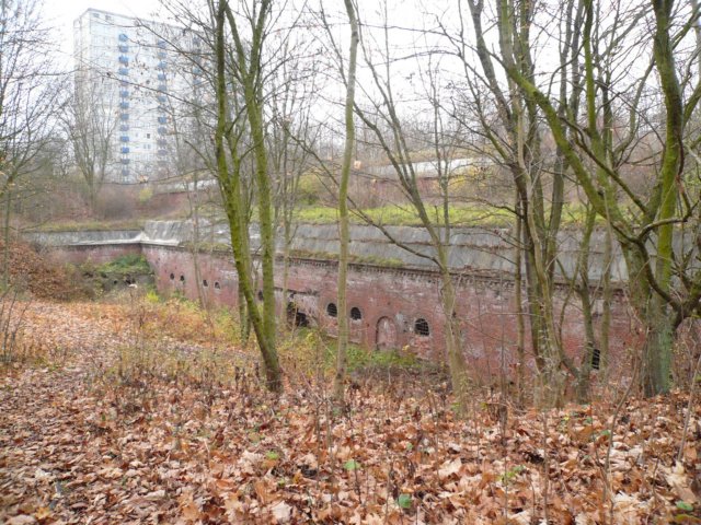photo5.jpg