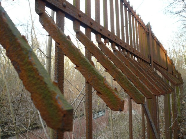 photo10.jpg