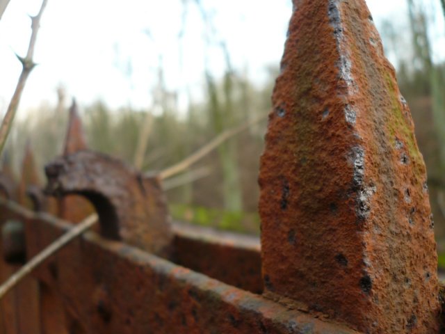 photo16.jpg