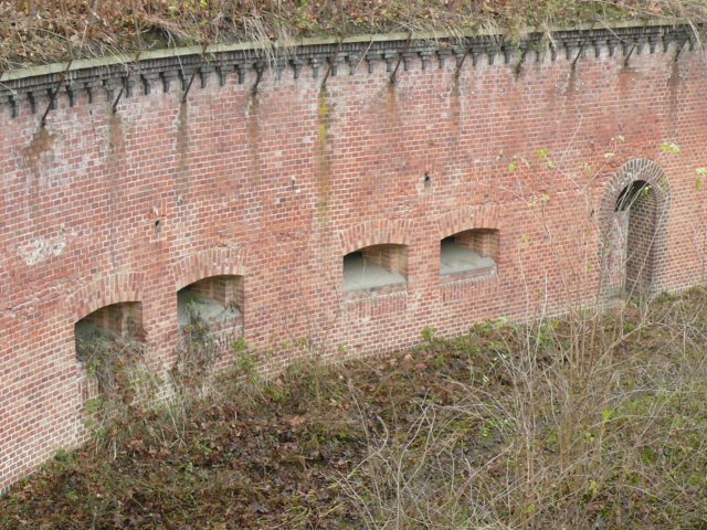 photo22.jpg