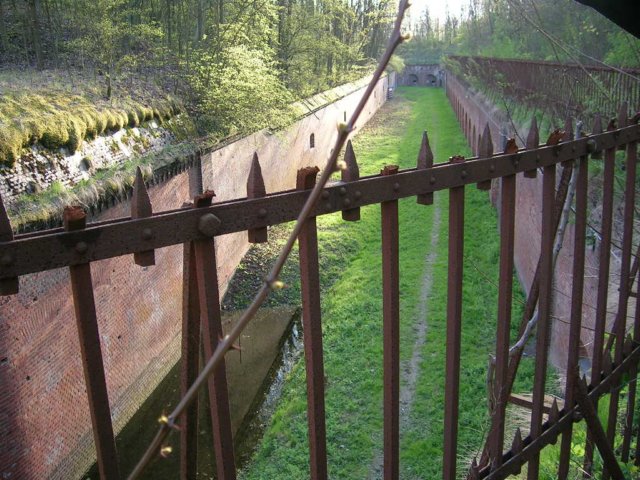 photo4.jpg
