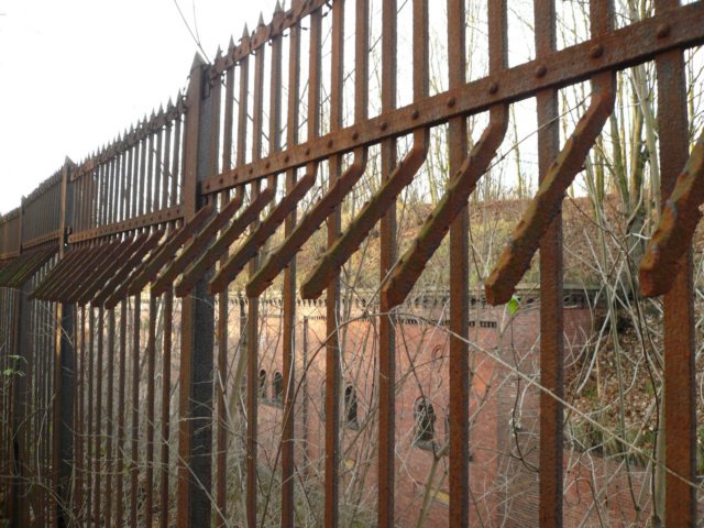 photo9.jpg
