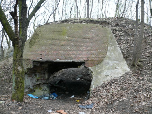 photo.jpg