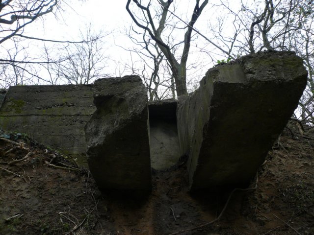 photo11.jpg