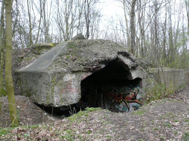 photo5.jpg
