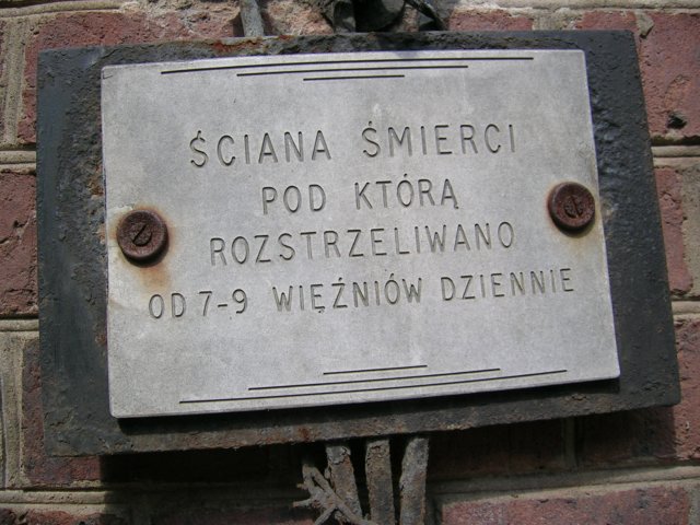 photo39.jpg