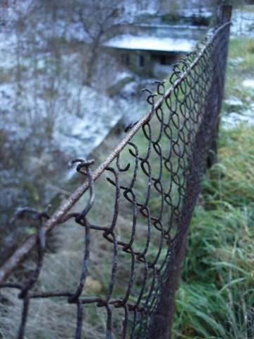 photo13.jpg