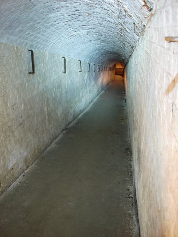 photo29.jpg