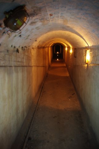 photo50.jpg