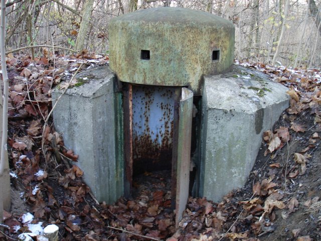 photo9.jpg