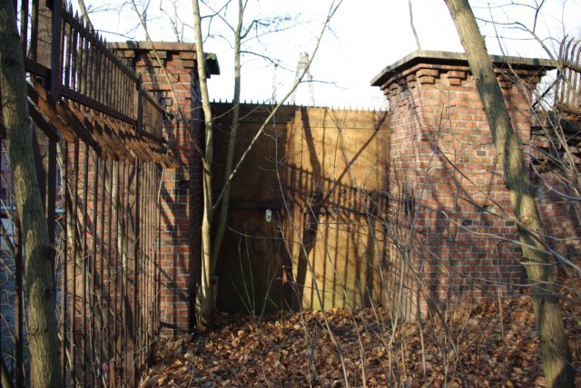 photo7.jpg