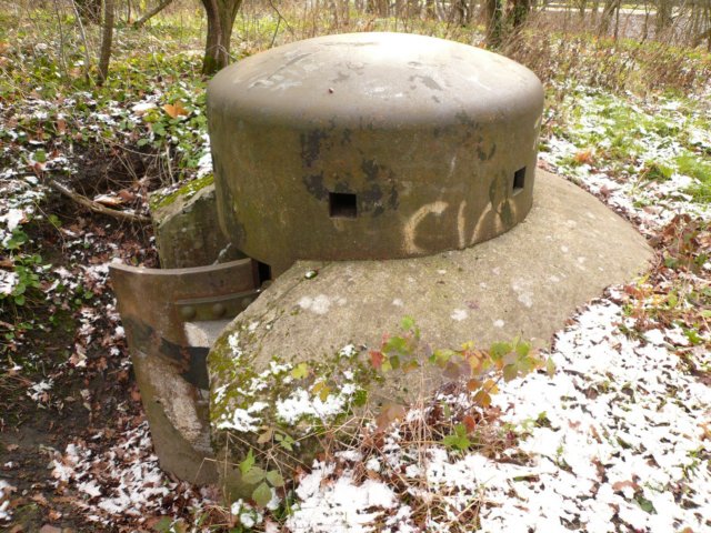 photo31.jpg