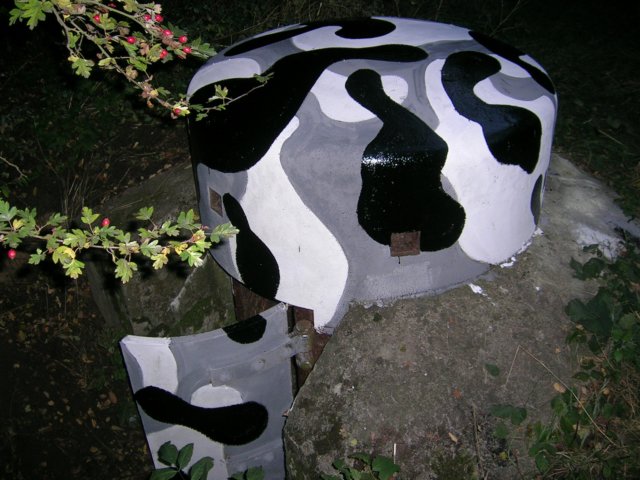 photo40.jpg