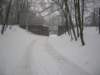 photo20_small.jpg