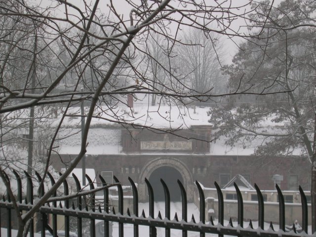 photo21.jpg