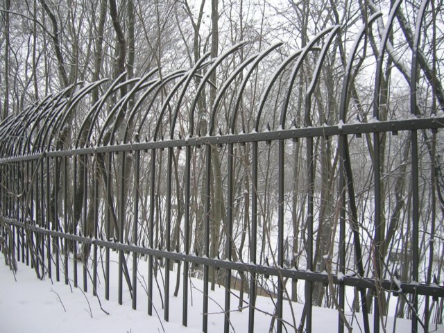 photo22.jpg