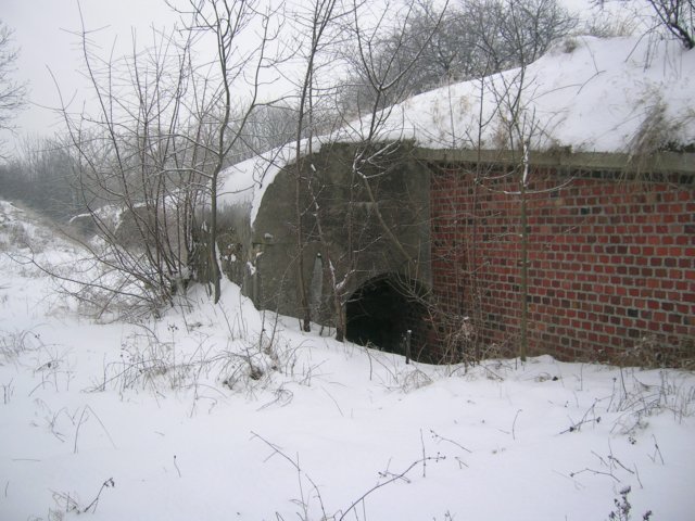 photo25.jpg