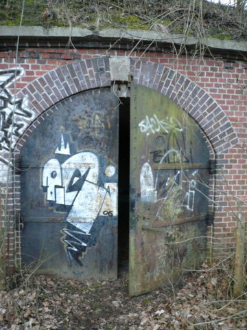 photo29.jpg