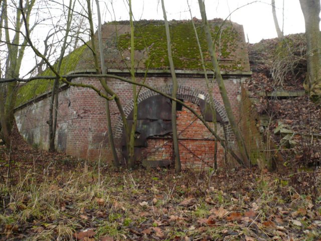 photo34.jpg