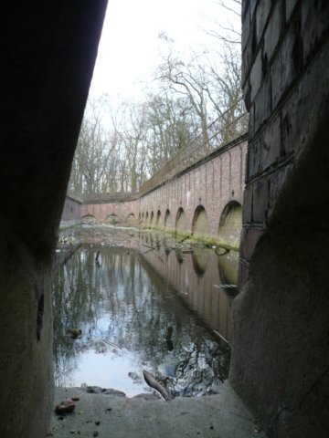 photo11.jpg