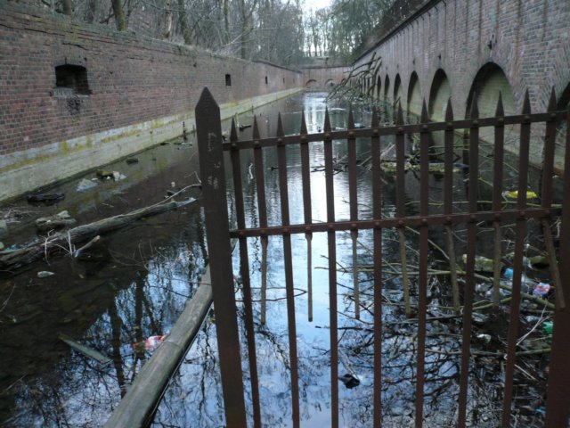 photo15.jpg