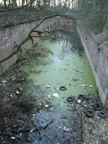 photo20.jpg