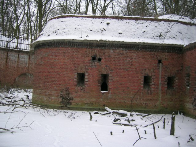 photo4.jpg