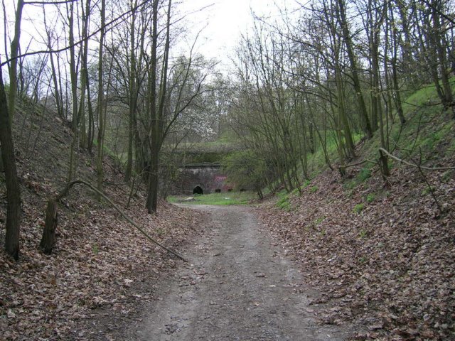 photo.jpg