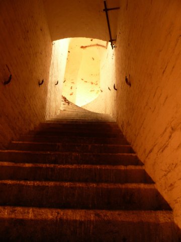 photo22.jpg